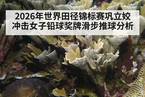 2026年世界田径锦标赛巩立姣冲击女子铅球奖牌滑步推球分析